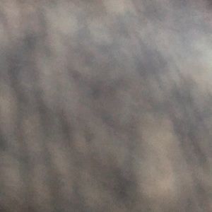 Meet your Posher, Kylie